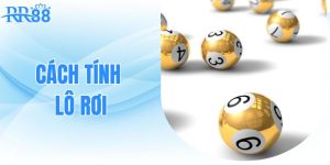 cach-tinh-lo-roi